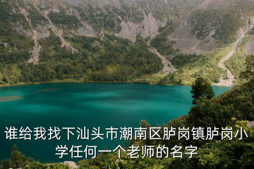 誰給我找下汕頭市潮南區臚崗鎮臚崗小學任何一個老師的名字