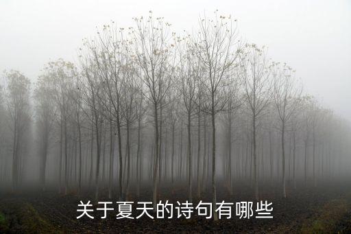 關于夏天的詩句有哪些