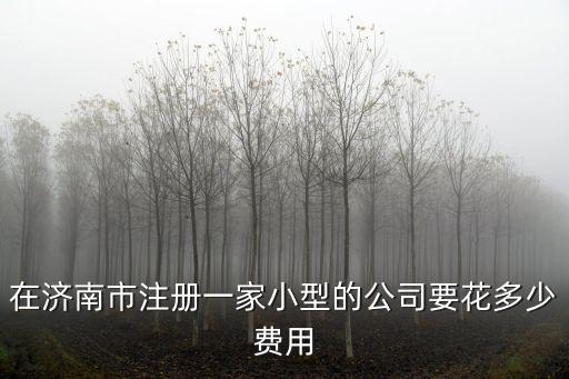 濟南注冊公司需要多少錢，在濟南市注冊一家小型的公司要花多少費用
