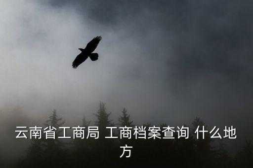 云南省工商局 工商檔案查詢 什么地方