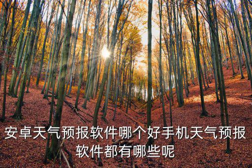 安卓天氣預(yù)報(bào)軟件哪個(gè)好手機(jī)天氣預(yù)報(bào)軟件都有哪些呢