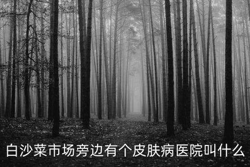 白沙菜市場旁邊有個皮膚病醫院叫什么