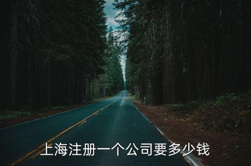 上海注冊一個公司要多少錢