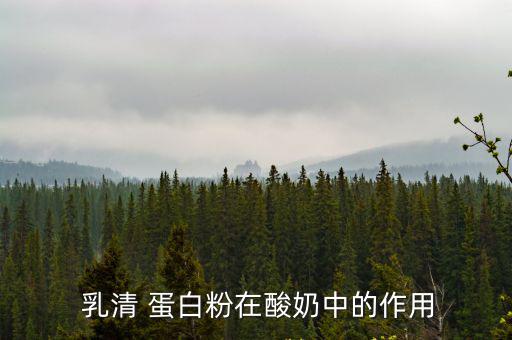 乳清蛋白粉的功效,乳清蛋白粉怎么了?正好有這些東西?