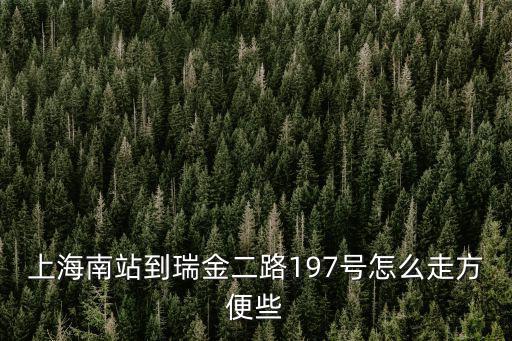 上海南站到瑞金二路197號(hào)怎么走方便些