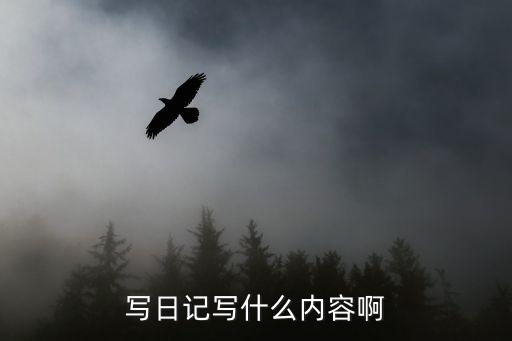 寫日記寫什么內容啊