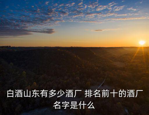 白酒山東有多少酒廠 排名前十的酒廠名字是什么