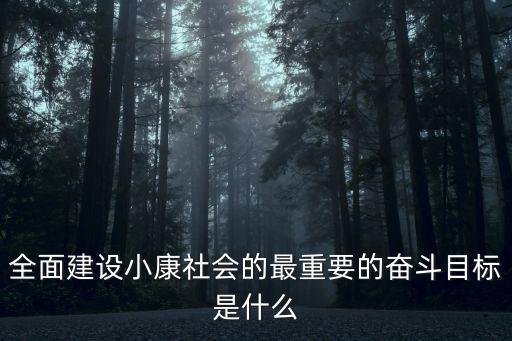 全面建設小康社會的奮斗目標，二十一世紀頭20年全面建設小康社會的奮斗目標是什么