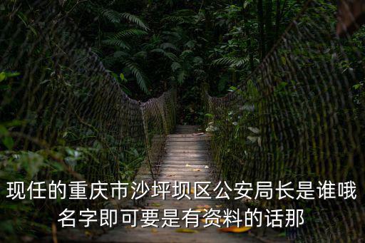現(xiàn)任的重慶市沙坪壩區(qū)公安局長是誰哦名字即可要是有資料的話那