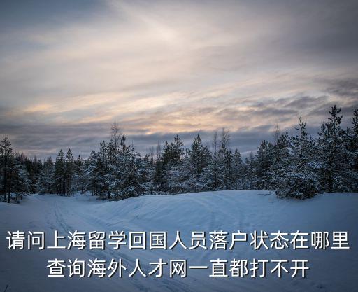 請(qǐng)問上海留學(xué)回國(guó)人員落戶狀態(tài)在哪里查詢海外人才網(wǎng)一直都打不開