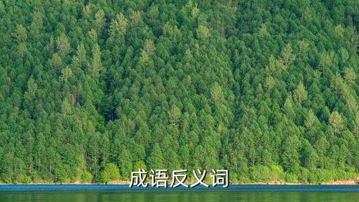 成語反義詞