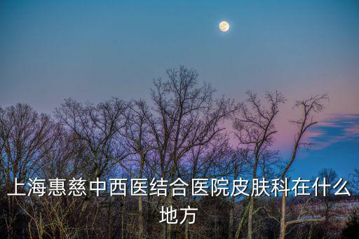 上海惠慈中西醫結合醫院皮膚科在什么地方