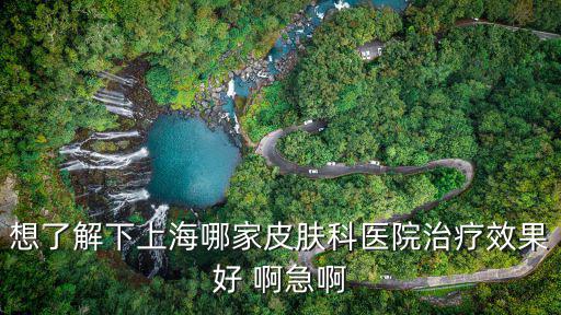 想了解下上海哪家皮膚科醫院治療效果好 啊急啊