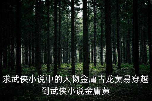 求武俠小說中的人物金庸古龍黃易穿越到武俠小說金庸黃