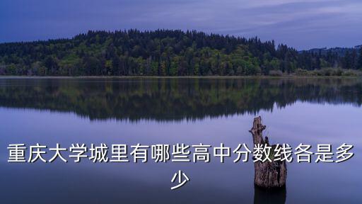 重慶大學(xué)城里有哪些高中分?jǐn)?shù)線各是多少