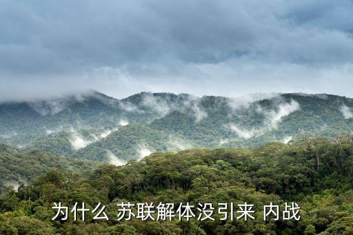 蘇聯內戰,希特勒將蘇聯視為征服歐洲主要對手集中進攻蘇聯