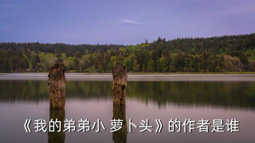 《我的弟弟小 蘿卜頭》的作者是誰