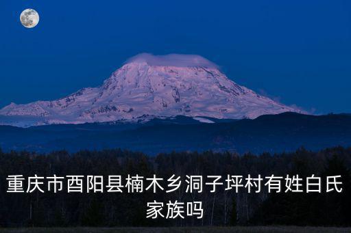重慶市酉陽(yáng)縣楠木鄉(xiāng)洞子坪村有姓白氏家族嗎