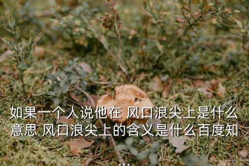 風口浪尖,第二集:選情膠著選情冷靜選情