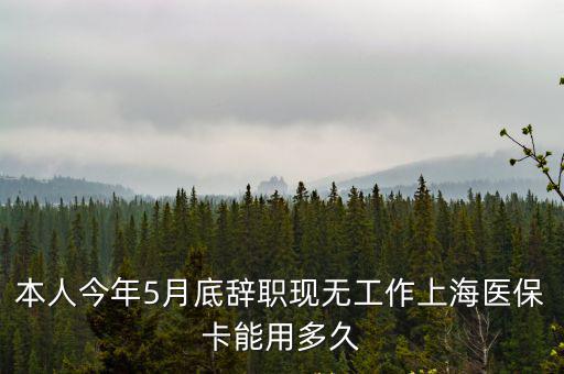 本人今年5月底辭職現(xiàn)無工作上海醫(yī)保卡能用多久