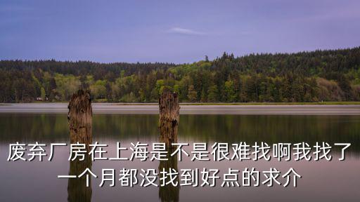 廢棄廠房在上海是不是很難找啊我找了一個月都沒找到好點的求介
