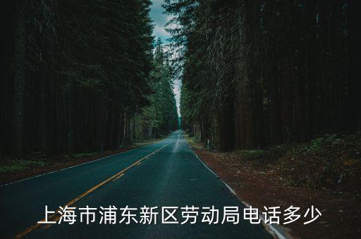 上海市浦東新區勞動局電話多少