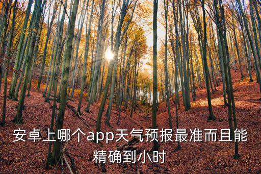 安卓上哪個app天氣預報最準而且能精確到小時