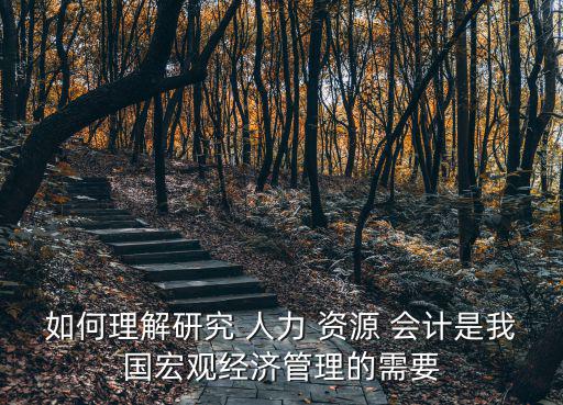 人力資源會計,人力資源會計報告將為國家宏觀調(diào)控提供便利