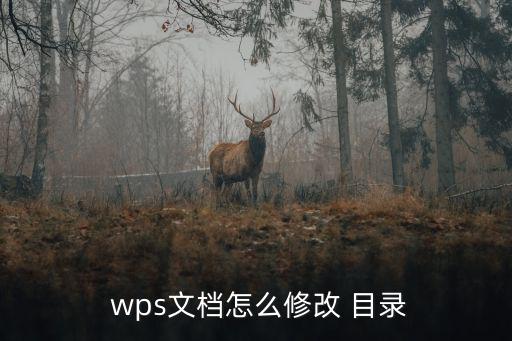 wps目錄設置,wps自動生成目錄方式:先修改目錄再添一個