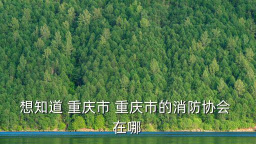 想知道 重慶市 重慶市的消防協會 在哪