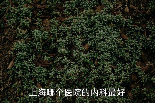 上海內科醫院排名第一名，請問各位上海最好的醫院是那家最好是看內科的