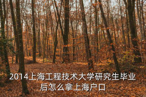 2014上海工程技術大學研究生畢業后怎么拿上海戶口