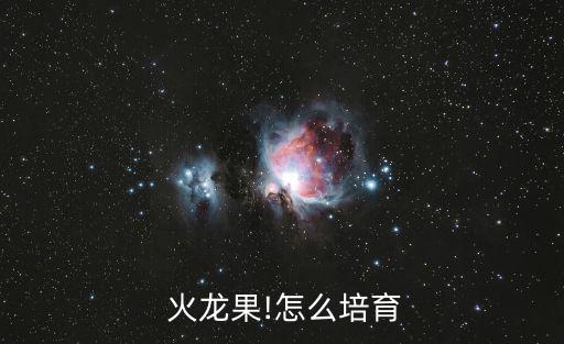 火龍果苗怎么種,火龍水果怎么種?