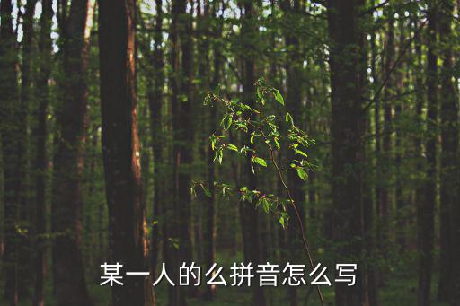 某一人的么拼音怎么寫