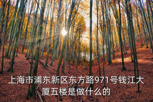 上海市浦東新區(qū)東方路971號錢江大廈五樓是做什么的