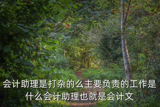 會計助理是打雜的么主要負責的工作是什么會計助理也就是會計文