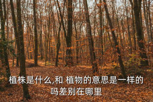 植物的意思,這些植物是怎么回事?