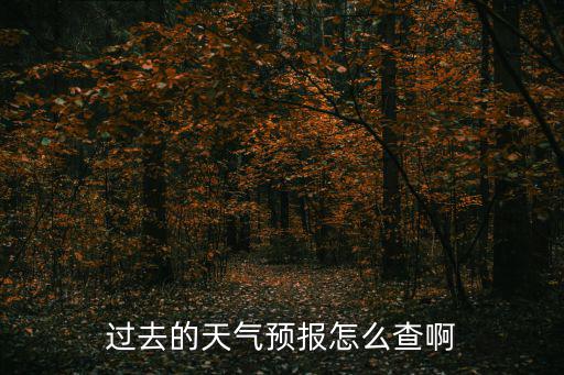 過去的天氣預報怎么查啊