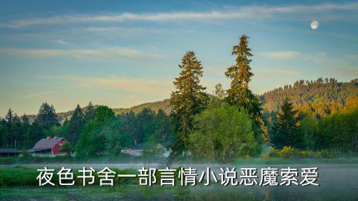 惡魔索愛，夜色書舍一部言情小說惡魔索愛