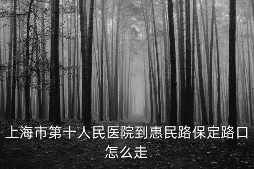 上海市第十人民醫(yī)院到惠民路保定路口怎么走