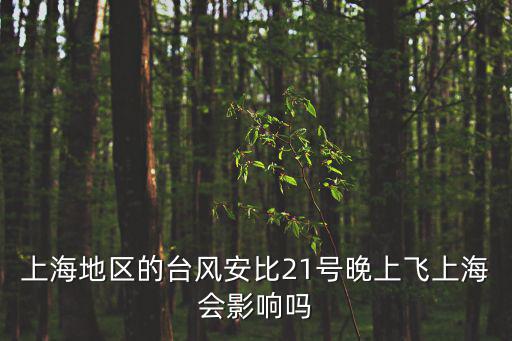 上海地區(qū)的臺(tái)風(fēng)安比21號(hào)晚上飛上海會(huì)影響嗎