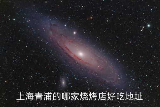 上海青浦的哪家燒烤店好吃地址