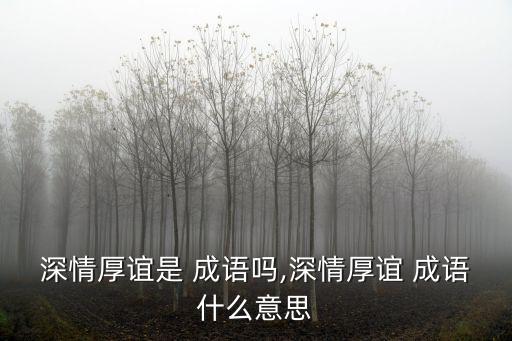 深情厚誼是 成語嗎,深情厚誼 成語什么意思
