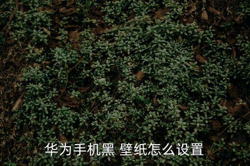 黑壁紙,如何調整華為手機背景黑?步驟如下