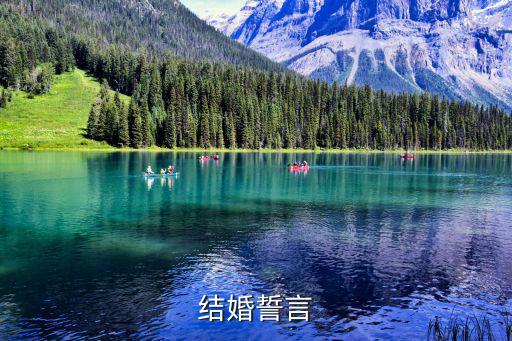 婚禮誓詞,結(jié)婚誓詞:我xxx娶你，xxx做我老婆