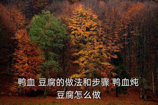  鴨血 豆腐的做法和步驟 鴨血燉 豆腐怎么做