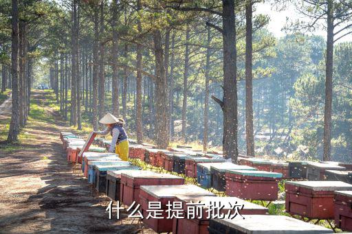 提前批次，什么叫提前錄取批次