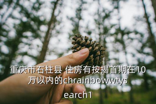 重慶市石柱縣 住房有按揭首期在10萬以內(nèi)的chrainbowwtysearch1
