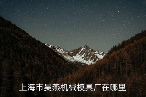 上海市昊燕機械模具廠在哪里