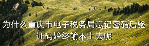 重慶市電子稅務登記局，重慶九龍坡新辦企業到地稅辦理電子稅務局要那些資料